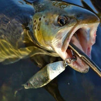 Westin Salty Lures